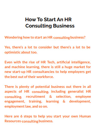 HR Consulting Business Plan Overview