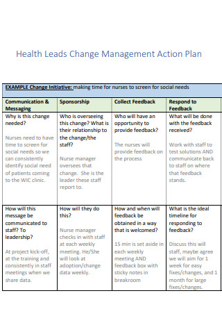 Health Leads Change Management Action Plan