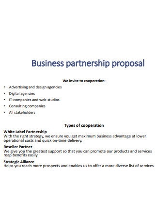IT Business Partnership Proposal