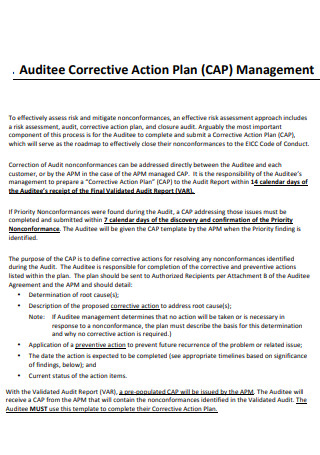 Management Corrective Action Plan
