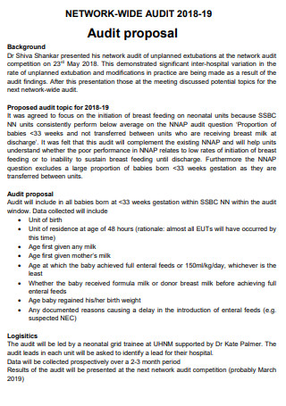 Network Wised Audit Proposal