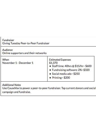 Peer to Peer Nonprofit Fundraising Plan