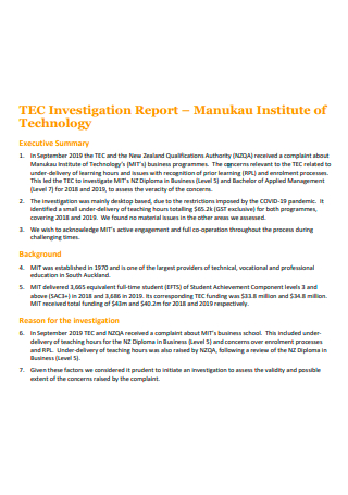 Printable Business Investigation Report