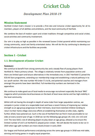 Professional Cricket Club Development Plan