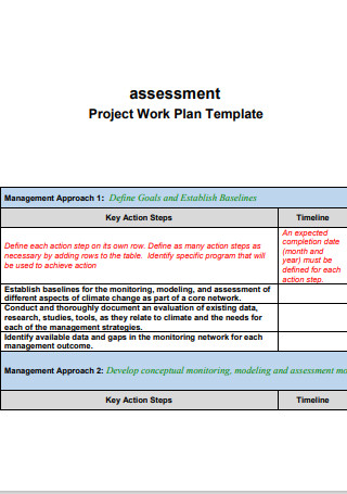 Project Assessment Work Plan