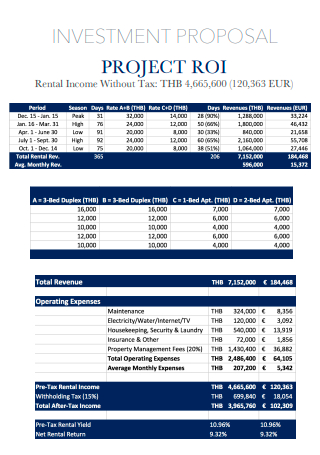Project Investment Proposal in PDF