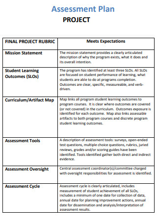 Sample Project Assessment Plan