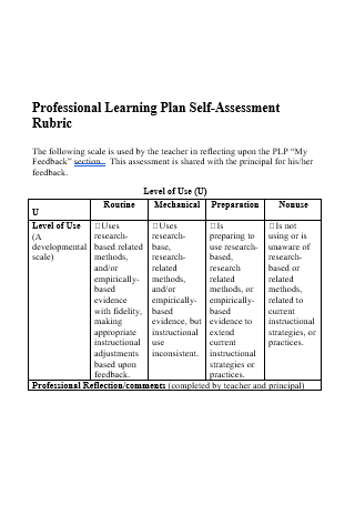 Self Assessment Professional Learning Plan