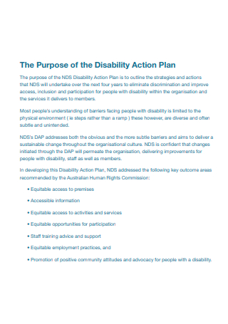 Simple Disability Action Plan