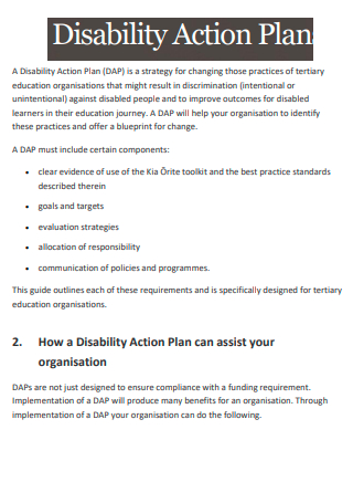 Standard Disability Action Plan