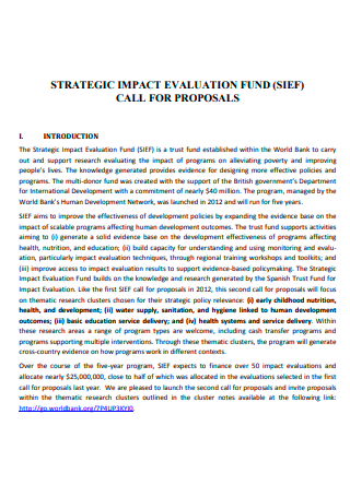 Strategic Impact Evaluation Fund Proposal