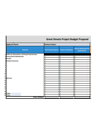 Streets Project Budget Proposal