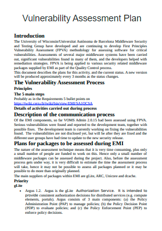 Vulnerability Assessment Plan in PDF