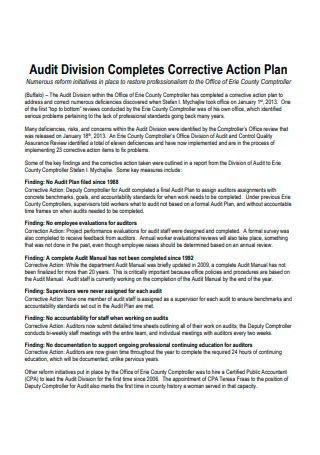 Audit Division Corrective Action Plan