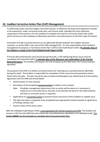 Auditee Corrective Action Plan Management