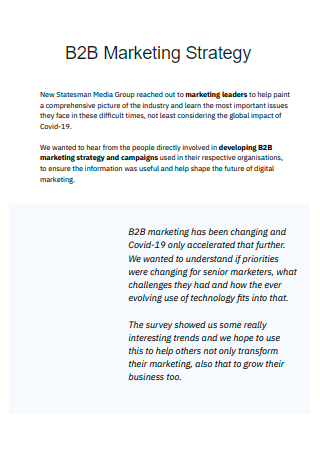 B2B Marketing Strategy in PDF