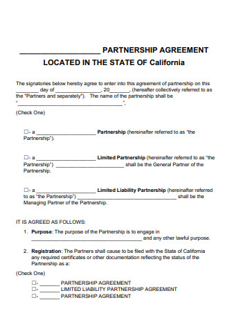 Basic Limited Liability Partnership Agreement