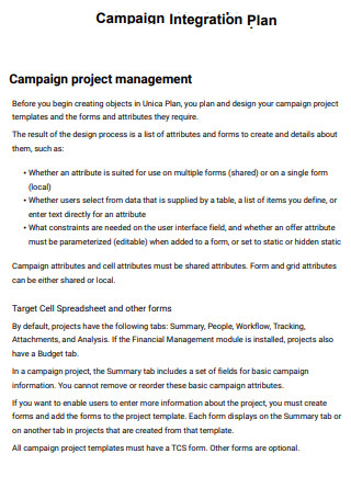 Campaign Integration Project Plan