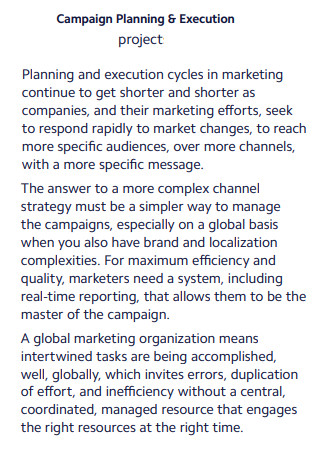 Campaign Project Plan Execution