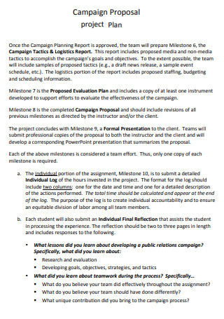 Campaign Project Plan Proposal