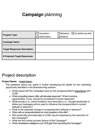 Campaign Project Plan