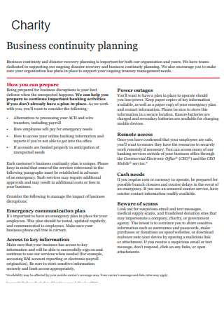 Charity Business Continuity Planning Example