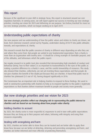 Charity Commission Annual Report Format