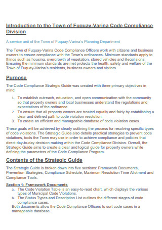 Code Compliance Strategic Plan