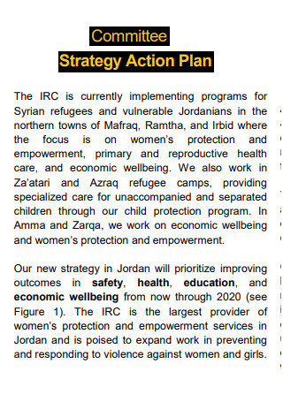 Committee Strategy Action Plan