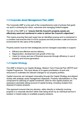 Corporate Asset Management Plan in PDF