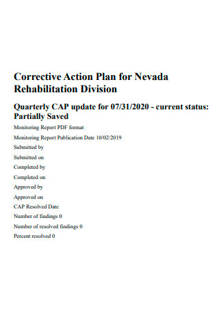 Corrective Action Plan For Rehabilitation Division