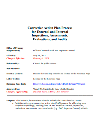 Corrective Action Plan Process