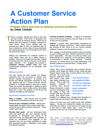 Customer Service Action Plan Example