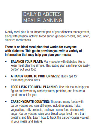 Daily Diabetes Meal Plan