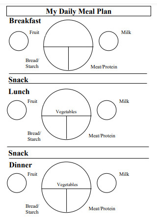 Daily Meal Plan Example