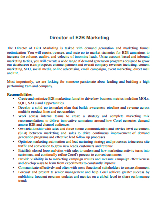 Director of B2B Marketing Plan