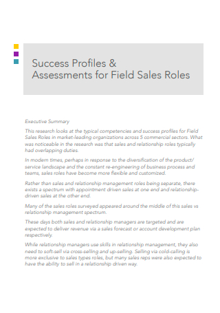 Field Sales Plan in PDF