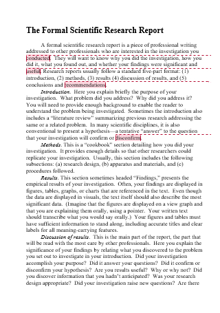 scientific research report format