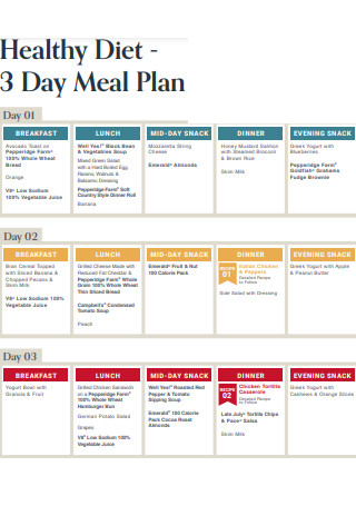 Healthy Diet Daily Meal Plan