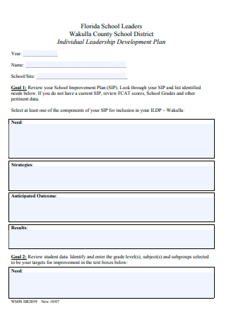 Individual Leadership Development Plan