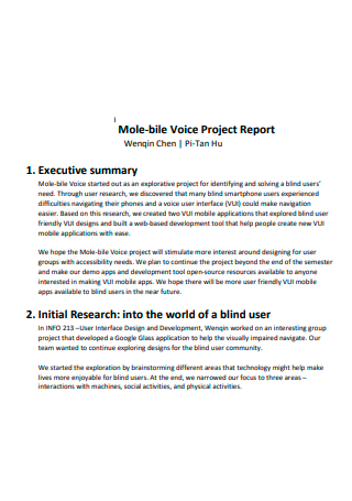 Initial Research Project Report