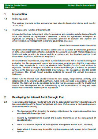 Internal Audit Strategic Plan Format