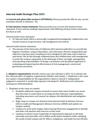 Internal Audit Strategic Plan in PDF