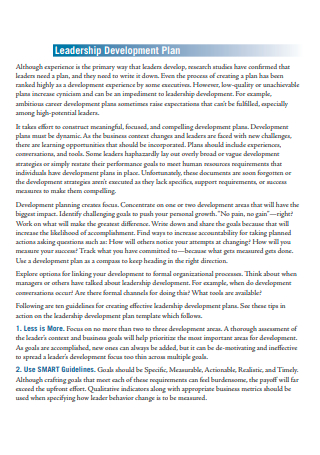 26+ FREE Leadership Development Plan Samples to Download