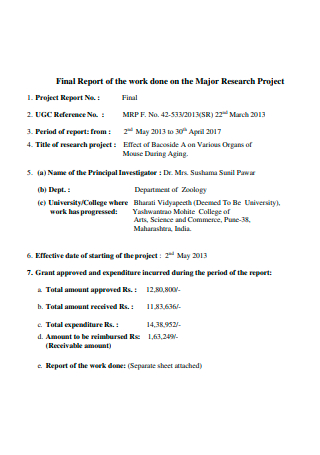 Major Research Project Report