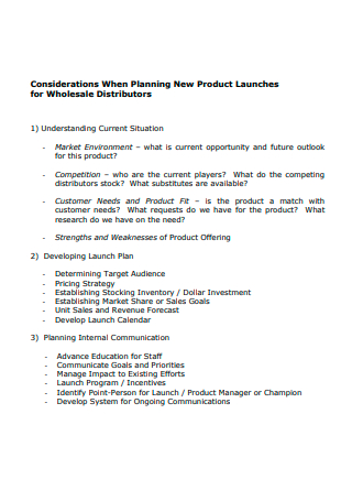 New Product Launch Planning