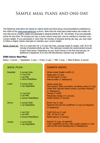 One Day Meal Plan
