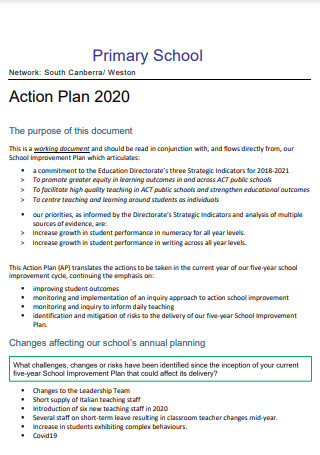 Primary School Action Plan