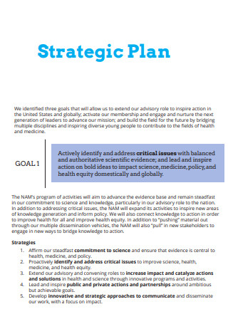 Printable National Strategic Plan