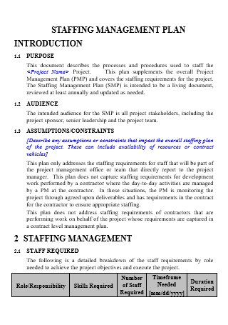 Printable Staffing Management Plan